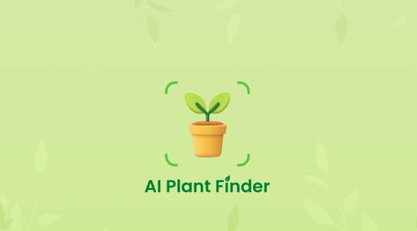 AI Plant Finder welcome page